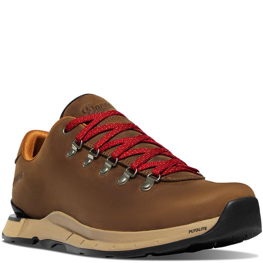 Danner Mountain Overlook Skor Herr Bruna | SE4685IS