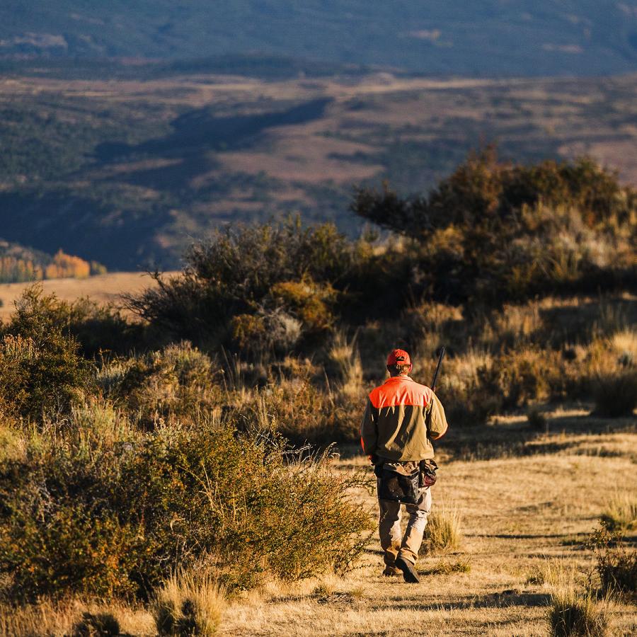 Danner Sharptail 8