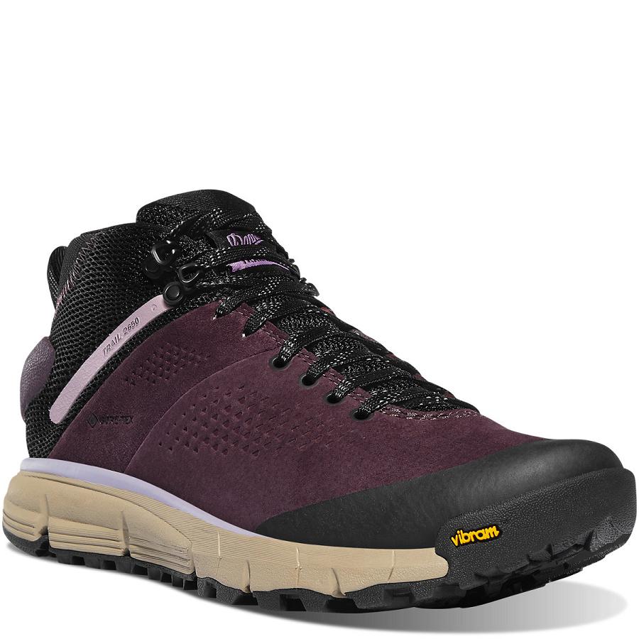 Danner Trail 2650 GTX Mid Vandringsskor Dam Svarta Lila | SE4396SO