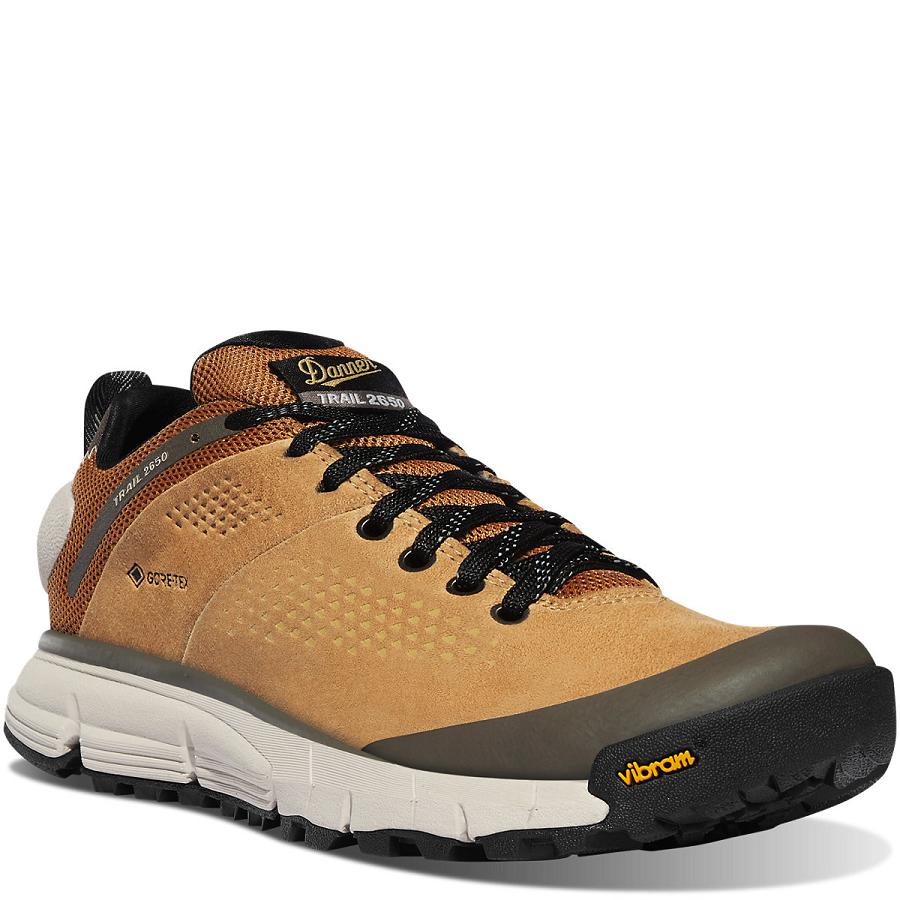 Danner Trail 2650 GTX Vandringsskor Dam Bruna Grå | SE4394FM