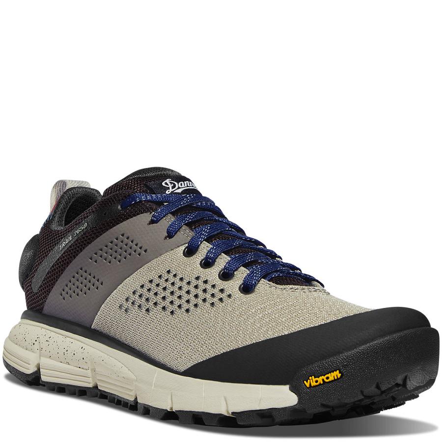 Danner Trail 2650 Mesh Vandringsskor Dam Silver | SE4385CE