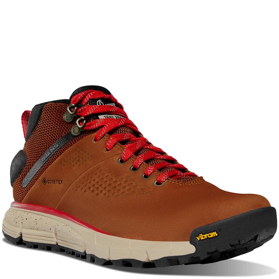 Danner Trail 2650 Mid GTX Vandringsskor Dam Bruna Röda | SE4398PQ