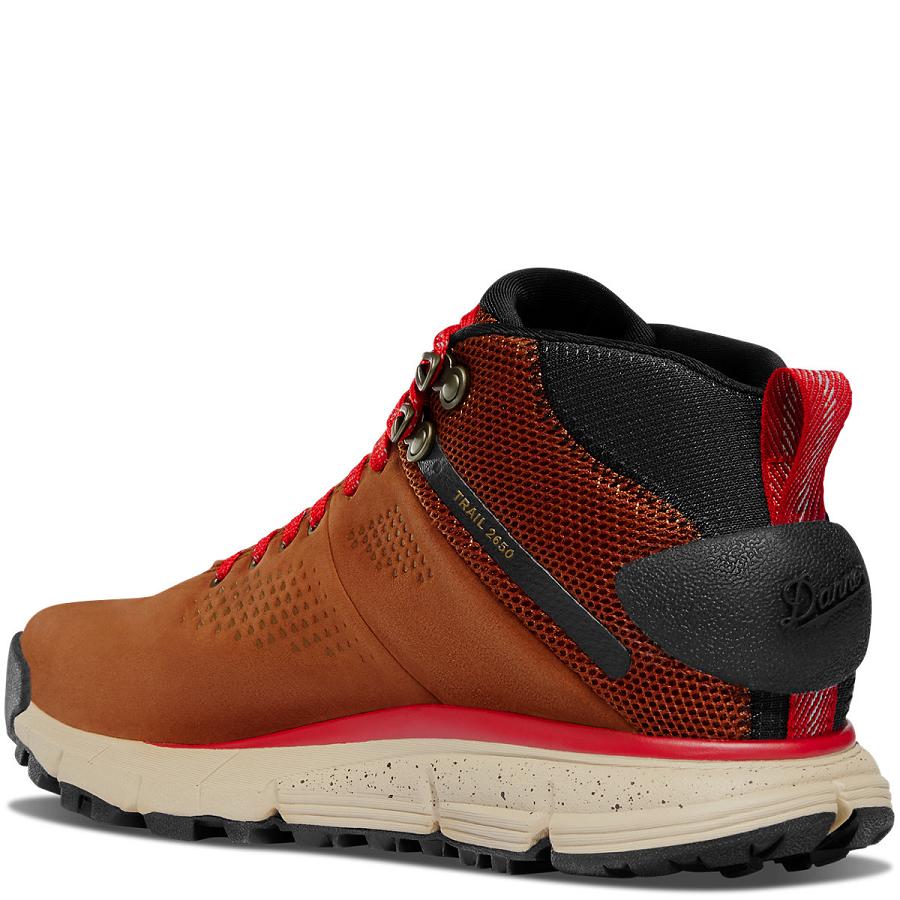 Danner Trail 2650 Mid GTX Vandringsskor Dam Bruna Röda | SE4398PQ